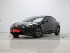 Tesla Model 3 Standard Range RWD Upgrade 3D6 - ფოტო 1