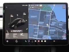 Tesla Model 3 Standard Range RWD Upgrade 3D6 - ფოტო 13