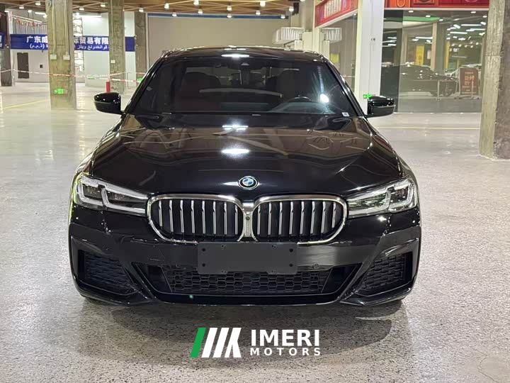 BMW 5 Series 530Li Luxury M Sport Package - car from China