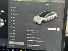 Tesla Model 3 Standard Range RWD Upgrade - ფოტო 7