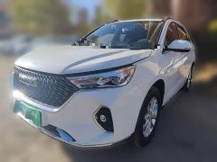 Haval M6 PLUS 1.5T DCT Luxury Smart Connected Edition - ფოტო 1