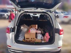 Haval M6 PLUS 1.5T DCT Luxury Smart Connected Edition - ფოტო 20