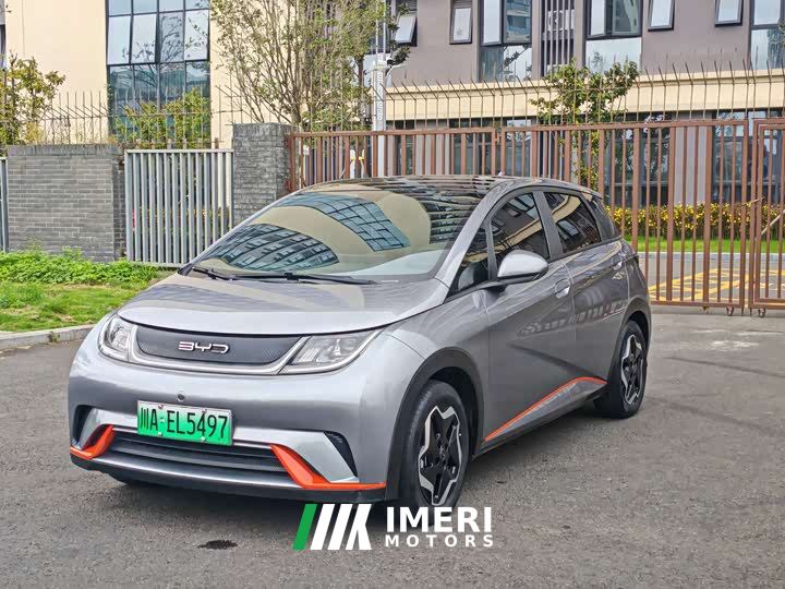 BYD Dolphin 405km Fashion Edition - ავტომობილი ჩინეთიდან