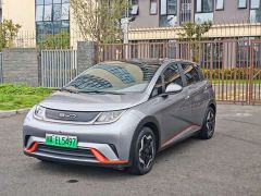 BYD Dolphin 405km Fashion Edition - ფოტო 1