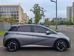 BYD Dolphin 405km Fashion Edition - ფოტო 14