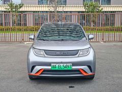BYD Dolphin 405km Fashion Edition - ფოტო 2