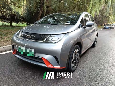 2022 BYD Dolphin 405km Fashion Edition - car from China