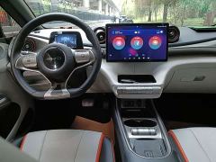BYD Dolphin 405km Fashion Edition - ფოტო 10
