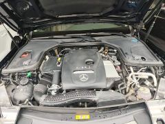Mercedes-Benz E-Class New Energy Facelift E 350 e L Plug-in Hybrid Sedan - photo 19