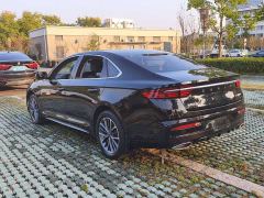 Geely Xingrui 2.0T Diesel Luxury - photo 12