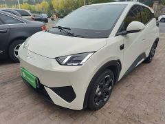 BYD Seagull Smart Driving Edition 305km Freedom Edition - photo 1