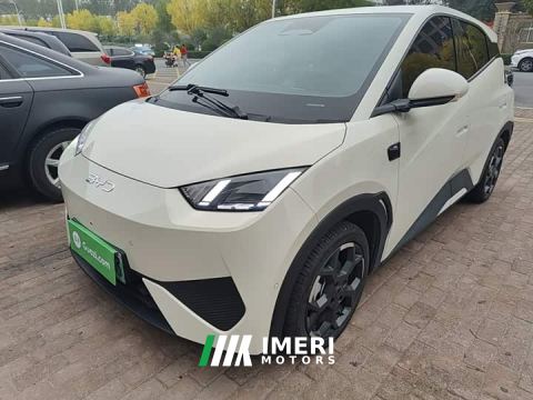2025 BYD Seagull Smart Driving Edition 305km Freedom Edition - car from China