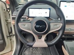 BYD Seagull Smart Driving Edition 305km Freedom Edition - photo 10
