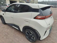 BYD Seagull Smart Driving Edition 305km Freedom Edition - photo 4