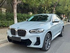 BMW X4 xDrive 30i M Sport Package - ფოტო 1
