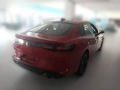 Volkswagen Lingdu L GTS 380TSI Lingfeng Million Anniversary Edition - photo 9