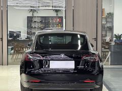 Tesla Model 3 Rear-Wheel Drive - photo 8
