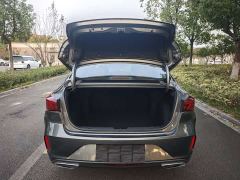 Changan Eado Enjoy Plus Blue Whale NE 1.4T GDI DCT Luxury Edition - photo 13