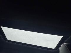 Trumpchi Leopard 270T DCT J16 R-style Track Edition - ფოტო 14