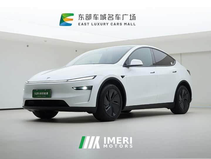 Tesla Model Y Rear-Wheel Drive - car from China