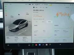 Tesla Model Y Rear-Wheel Drive - photo 8