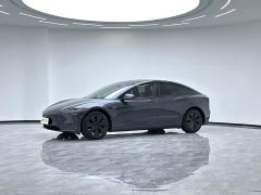 Tesla Model 3 Rear-Wheel Drive - photo 1