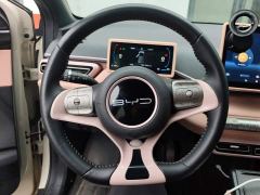 BYD Seagull Freedom Edition - photo 15
