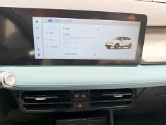 Geely Geometry E Firefly 301km Starlight - ფოტო 12