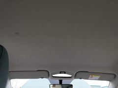 Geely Geometry E Firefly 301km Starlight - ფოტო 17
