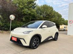 BYD Seagull Freedom Edition - ფოტო 1