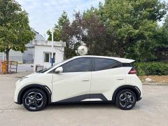BYD Seagull Freedom Edition - ფოტო 3