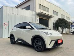 BYD Seagull Freedom Edition - ფოტო 4