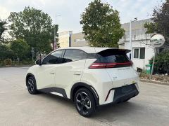 BYD Seagull Freedom Edition - ფოტო 5
