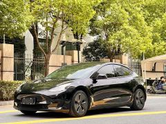 Tesla Model 3 Standard Range RWD Upgrade 3D6 - ფოტო 1