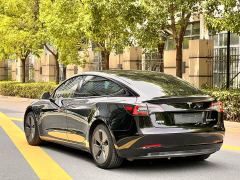 Tesla Model 3 Standard Range RWD Upgrade 3D6 - ფოტო 13