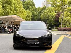 Tesla Model 3 Standard Range RWD Upgrade 3D6 - ფოტო 2