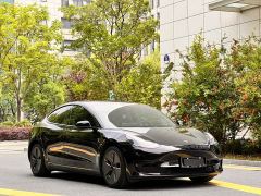 Tesla Model 3 Standard Range RWD Upgrade 3D6 - ფოტო 3