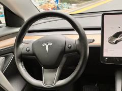 Tesla Model 3 Standard Range RWD Upgrade 3D6 - ფოტო 8