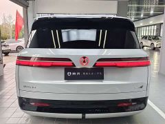 Denza N9 Flagship - ფოტო 10