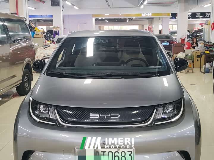 BYD Dolphin Glory Edition 420km Freedom Version - ავტომობილი ჩინეთიდან