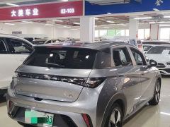 BYD Dolphin Glory Edition 420km Freedom Version - ფოტო 11