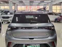 BYD Dolphin Glory Edition 420km Freedom Version - ფოტო 12