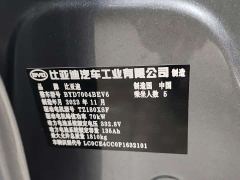 BYD Dolphin Glory Edition 420km Freedom Version - ფოტო 13