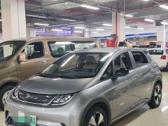 BYD Dolphin Glory Edition 420km Freedom Version - ფოტო 3