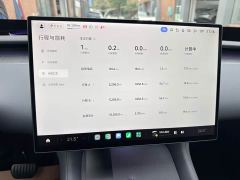 Xiaomi YU7 Four-Wheel Drive Pro - ფოტო 7