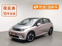 BYD Dolphin 405km Fashion Edition - photo 1