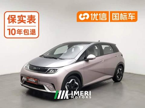 2022 BYD Dolphin 405km Fashion Edition - ავტომობილი ჩინეთიდან