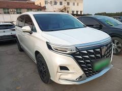 SAIC Roewe iMAX8 New Energy 2022 Gold Edition - photo 3