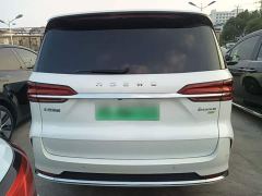 SAIC Roewe iMAX8 New Energy 2022 Gold Edition - photo 5