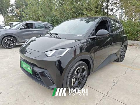 2023 BYD Seagull Freedom Edition - ავტომობილი ჩინეთიდან